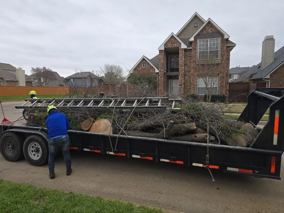 Expert Tree Removal with proper safety equipment in Charlestown